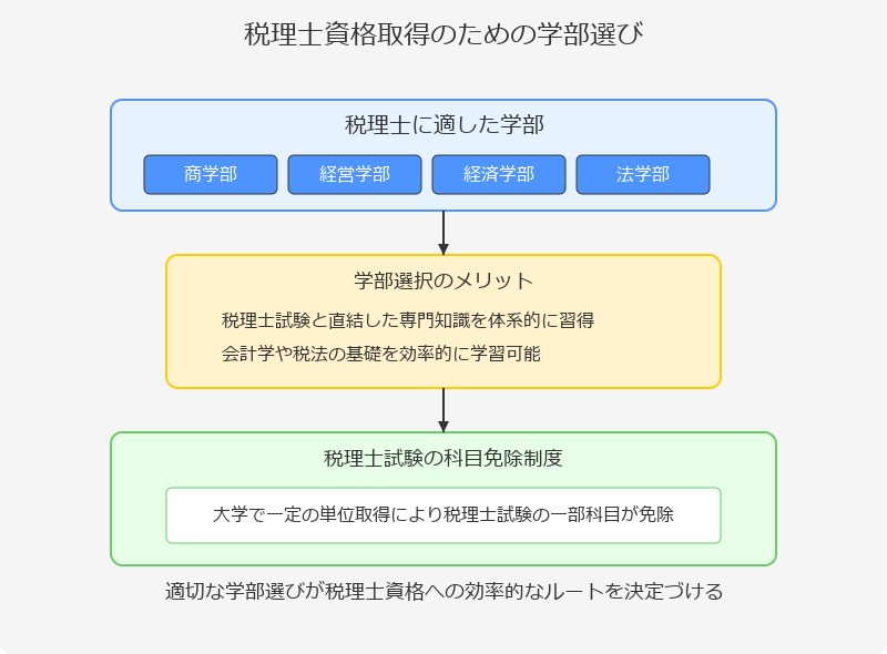 ■税理士を目指すのに最適な学部とは？