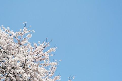 確定申告戦争中なので娘を疎開させていました。