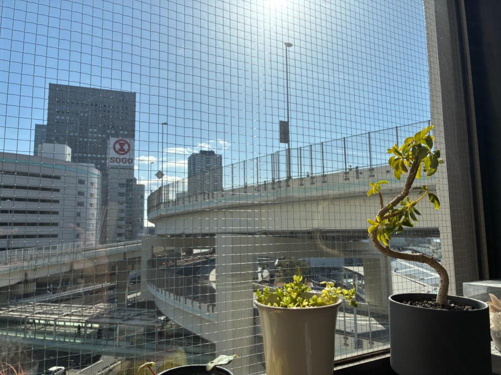 日当たり良好♪