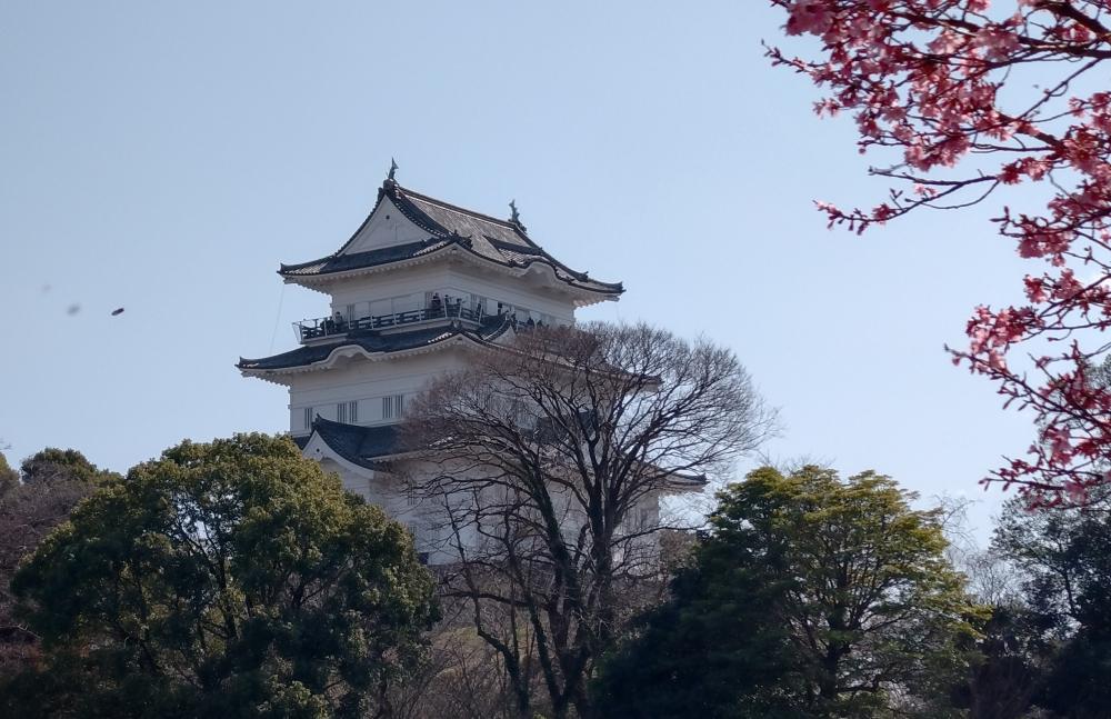 事務所から小田原城が望めます◎