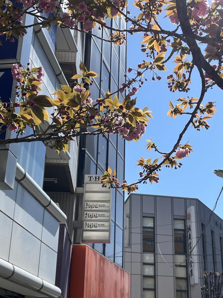 嬉しい駅チカ♪JR京浜東北線・東急大井町線・りんかい線「大井町駅」下車徒歩3分！